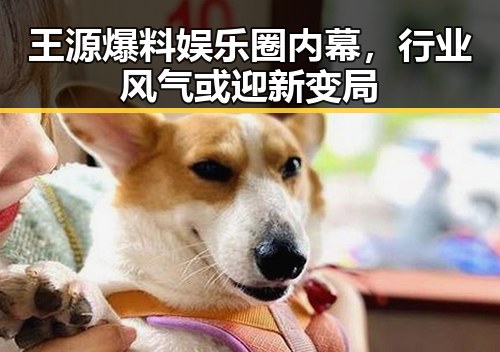 王源爆料娱乐圈内幕，行业风气或迎新变局