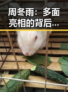 周冬雨：多面亮相的背后，她的持续魅力究竟在哪？