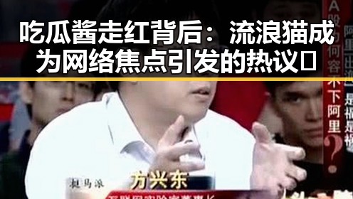 吃瓜酱走红背后：流浪猫成为网络焦点引发的热议🤔